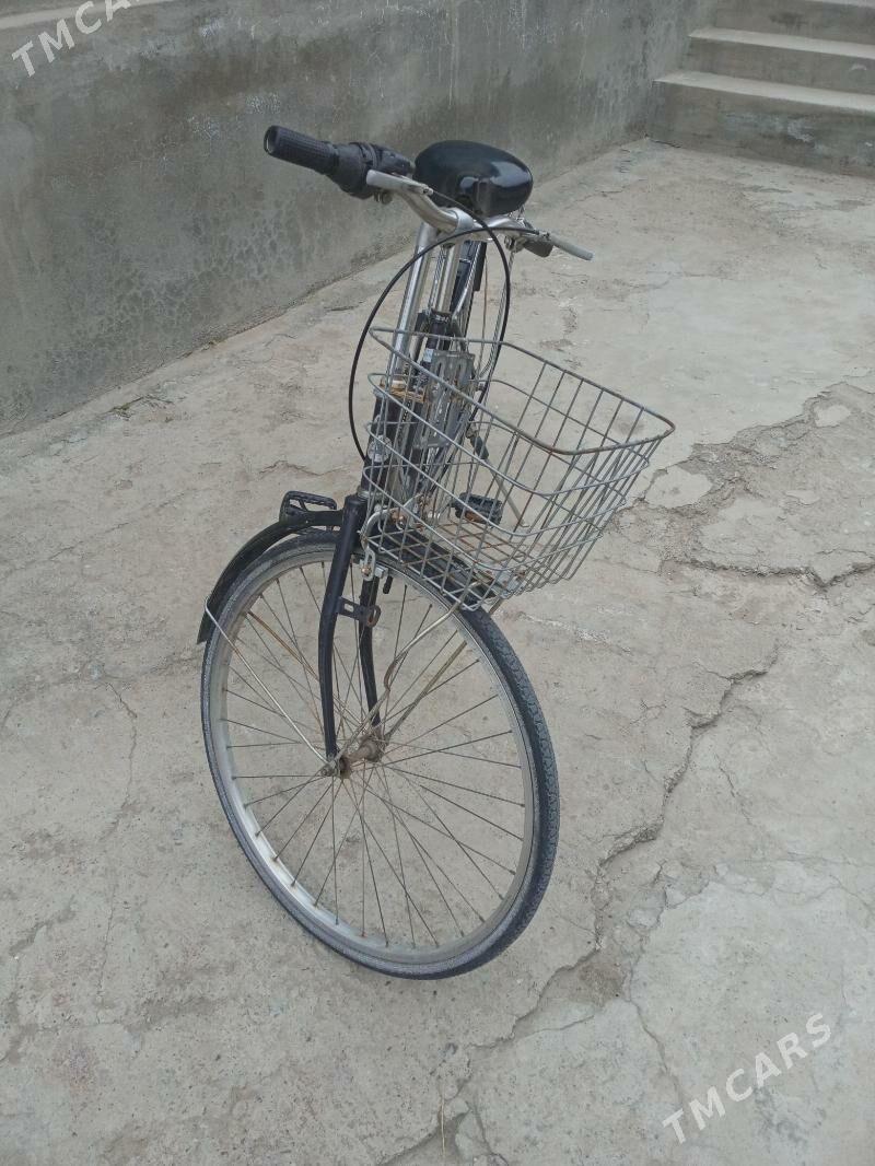 Tigir - Gökje - img 1