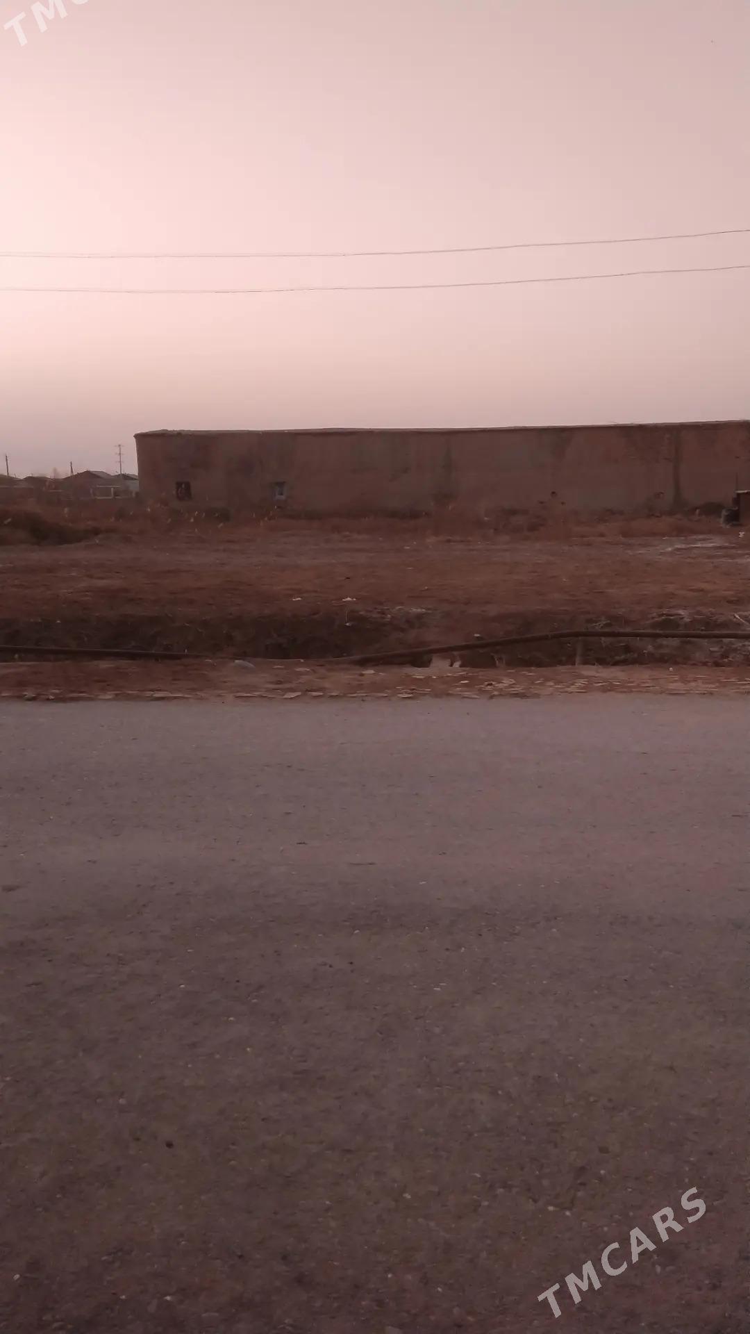 mellek yer - Babadaýhan - img 1