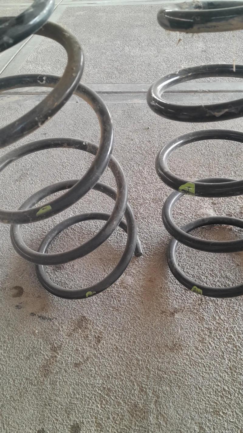 morda puržin Rx300 400 TMT - Mary - img 1