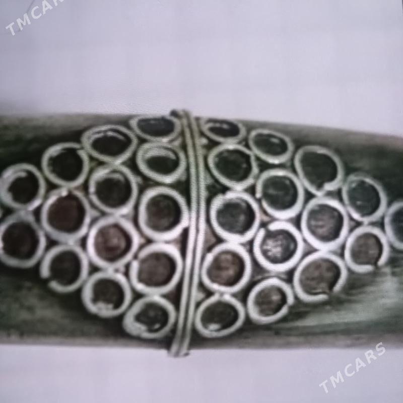 ALUÇY KÜMÜŞ - Гумдаг - img 1