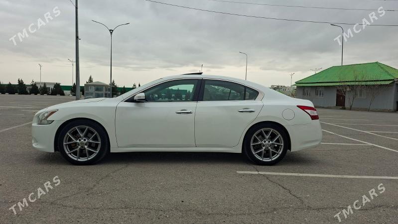 Nissan Maxima 2010 - 160 000 TMT - Ашхабад - img 1