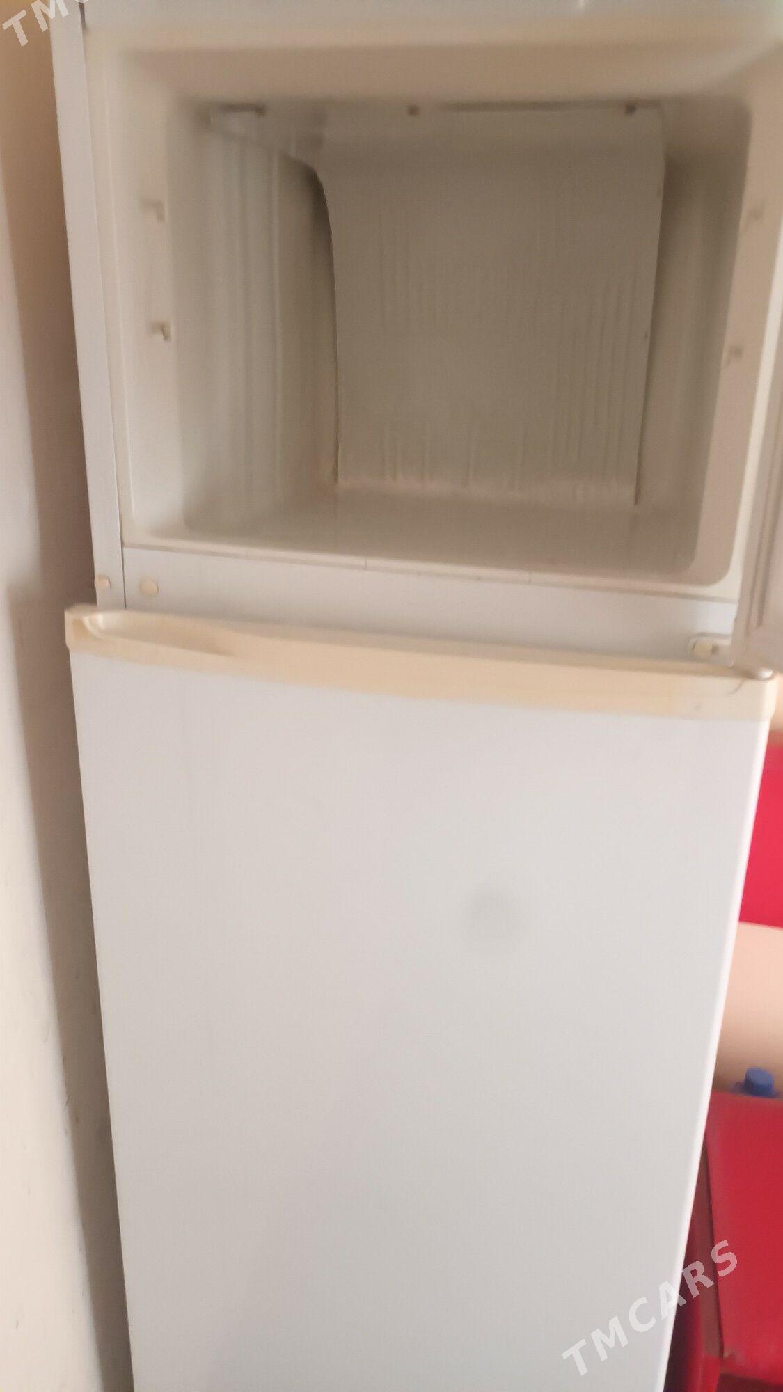 satylya - Daşoguz - img 1