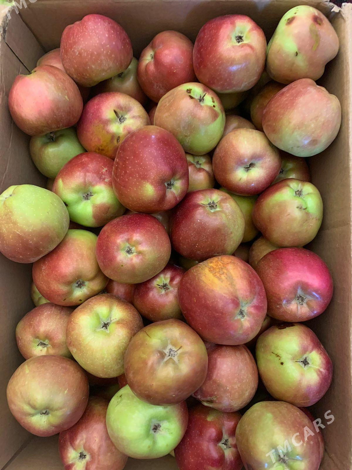 Продажа Готовый бизнес - Кака - img 1