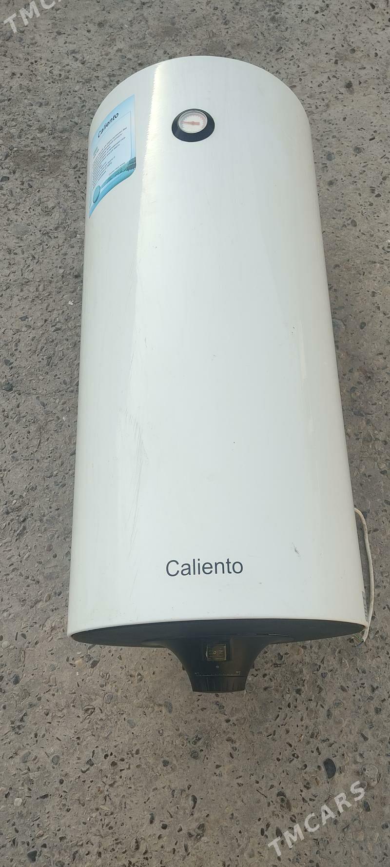 ariston 100 lik - Дянев - img 1