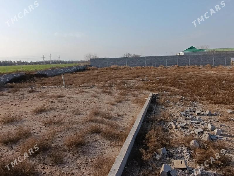 Boş mellek - Кипджак - img 1