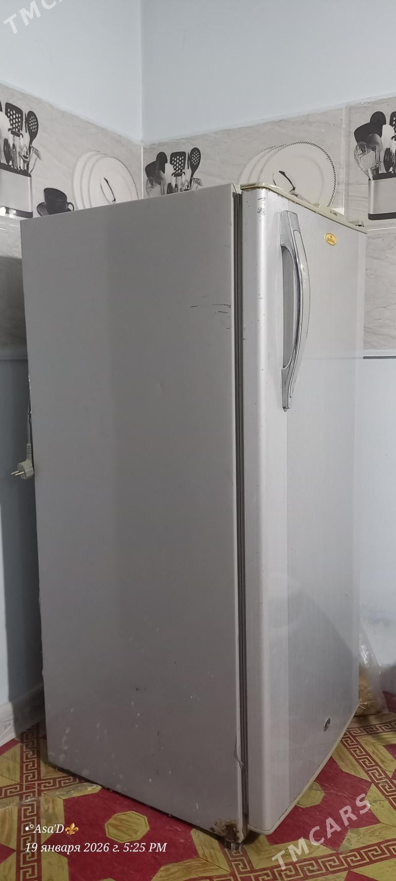 General holodelnik - Чарджоу - img 1