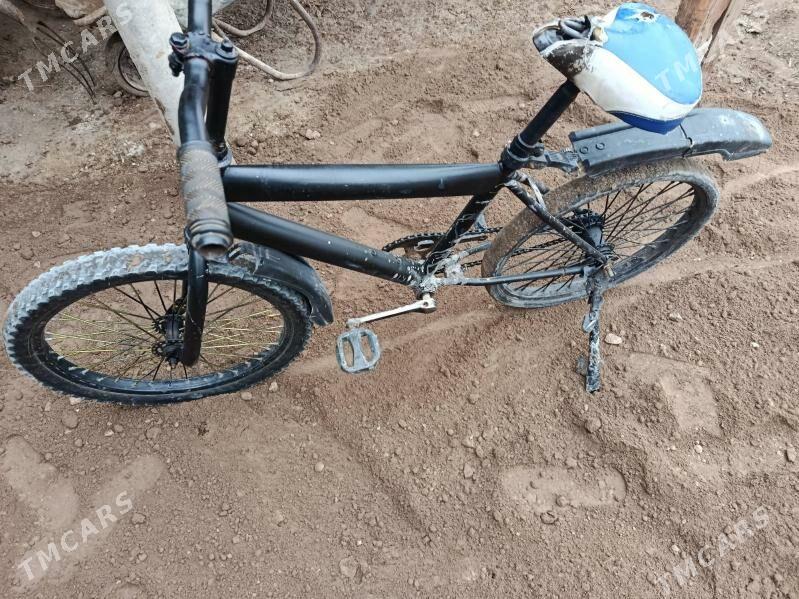 tigr - Багир - img 1