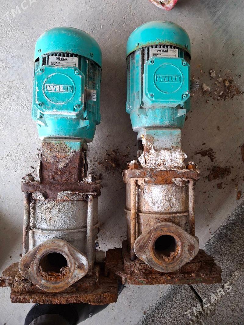 moyka un nasos - Кипджак - img 1