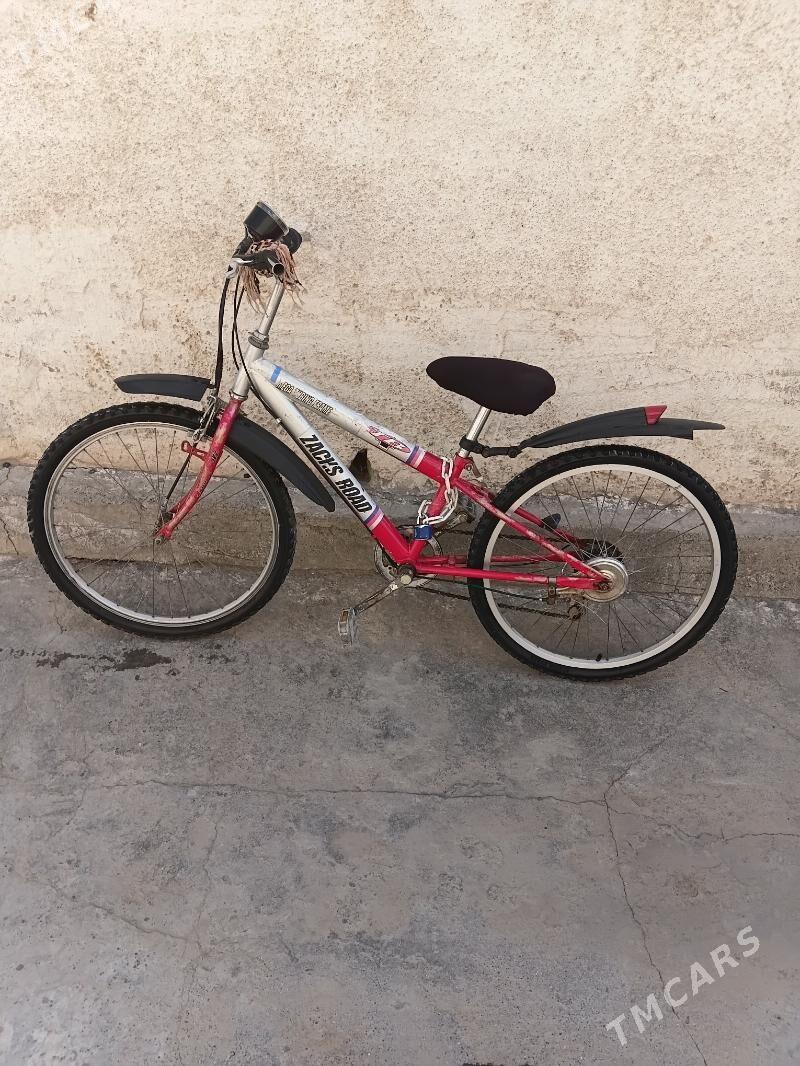 24-lik Ýaponskiý welik - Mary - img 1