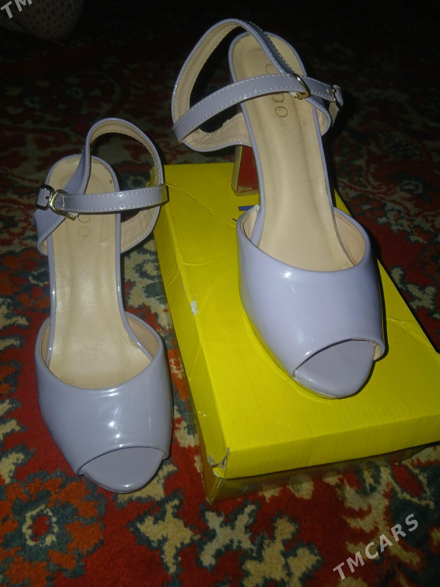 Tomus kowus - Mary - img 1