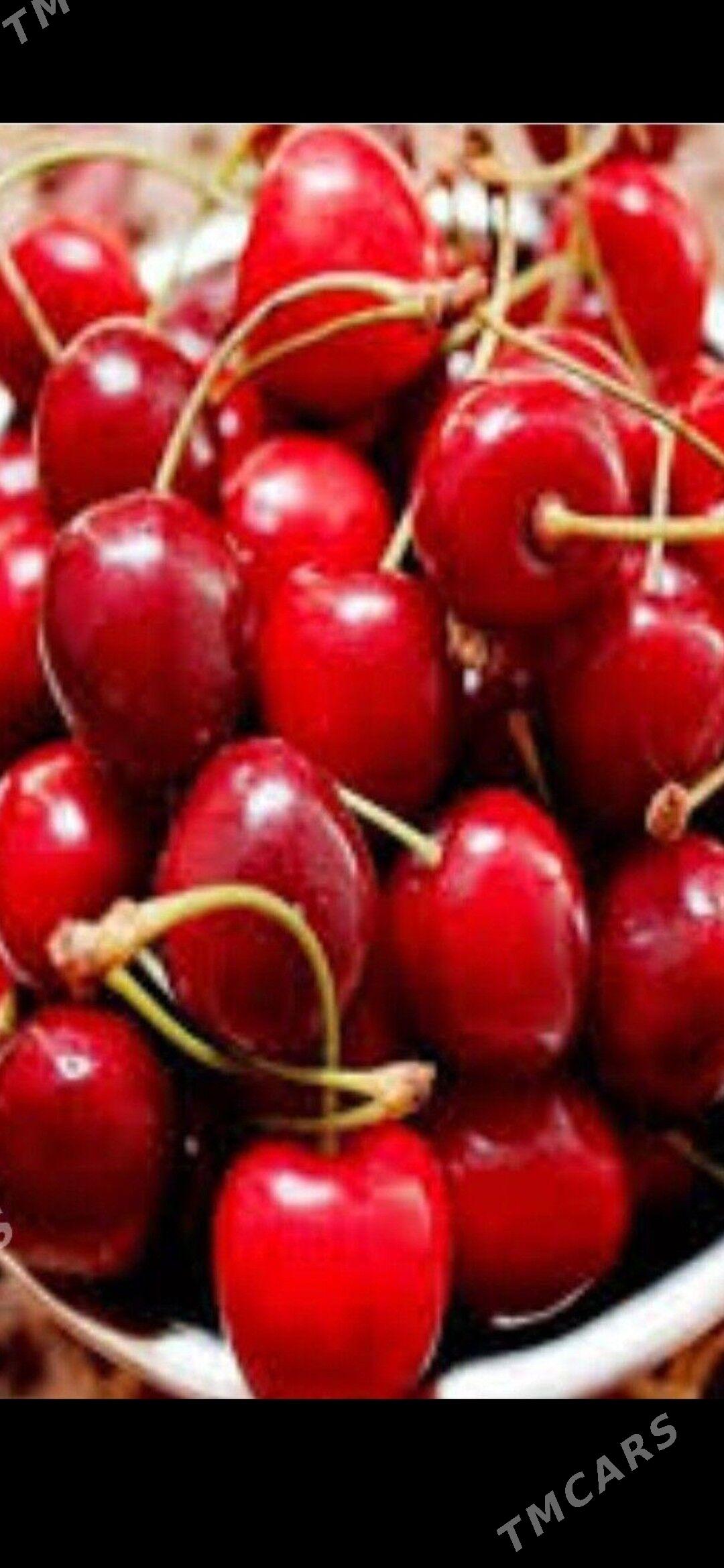 sitl - Köşi - img 1