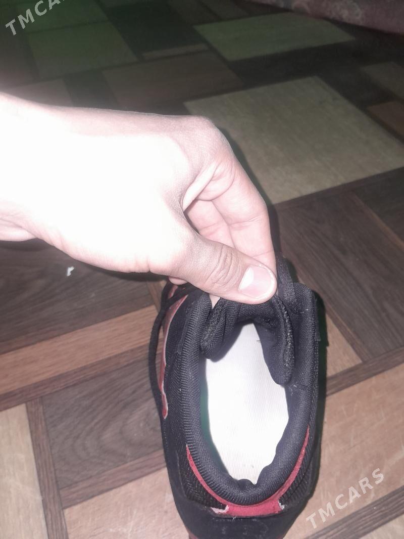 barsofka goreş,boks - Анев - img 1