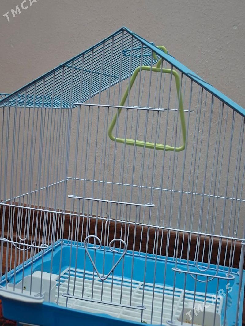 Nerazlusnik - Podwoýski köç. (Bitarap Türkmenistan şaýoly) - img 1