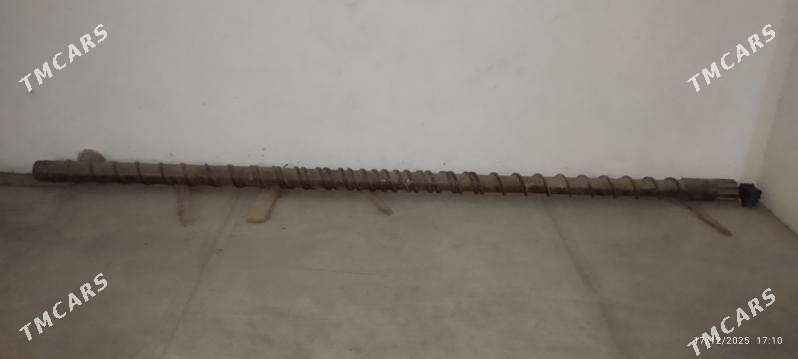 şnek - Mary - img 1