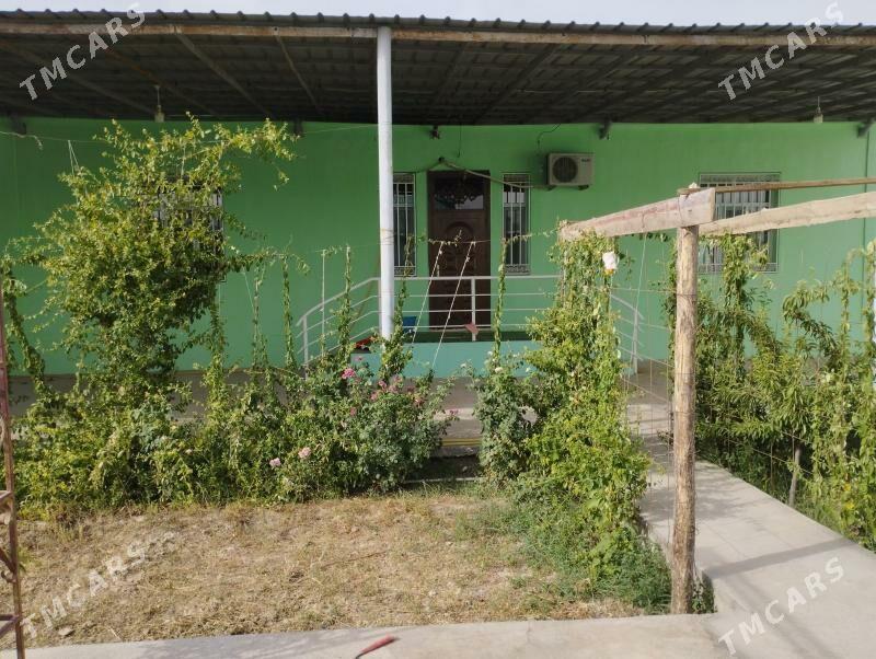 satlyk jay - Гёкдепе - img 1