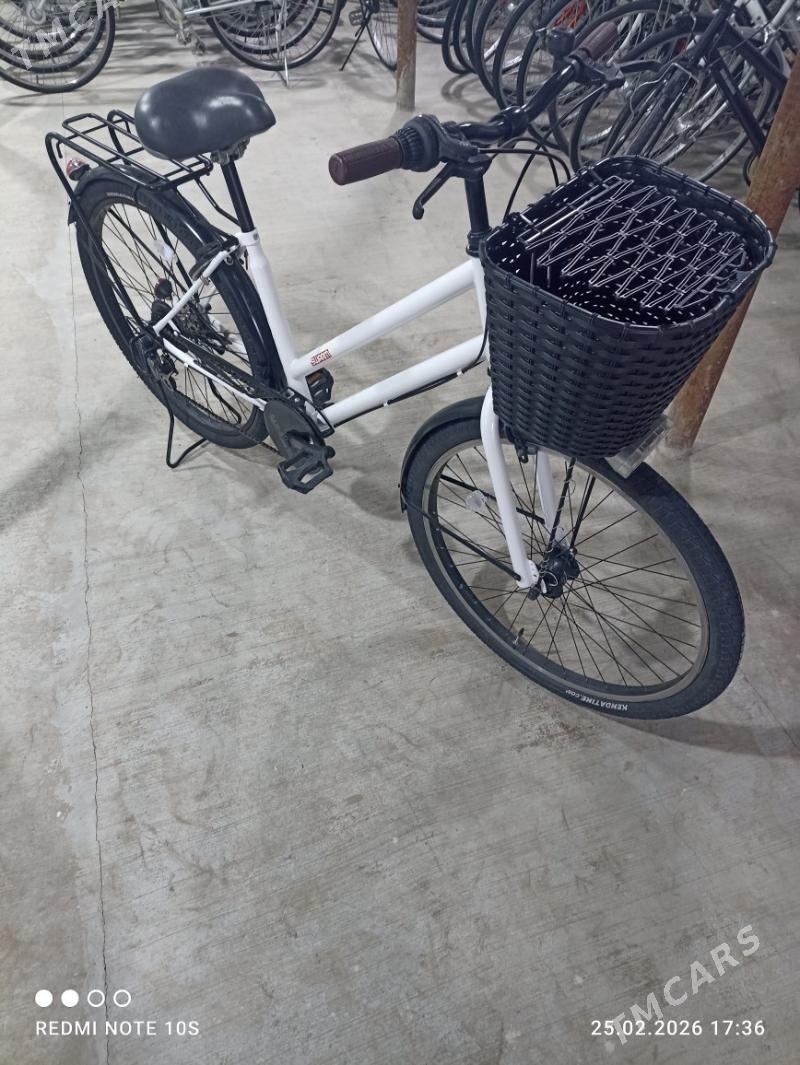 N27.5 YOGYN TIGER - Мары - img 1