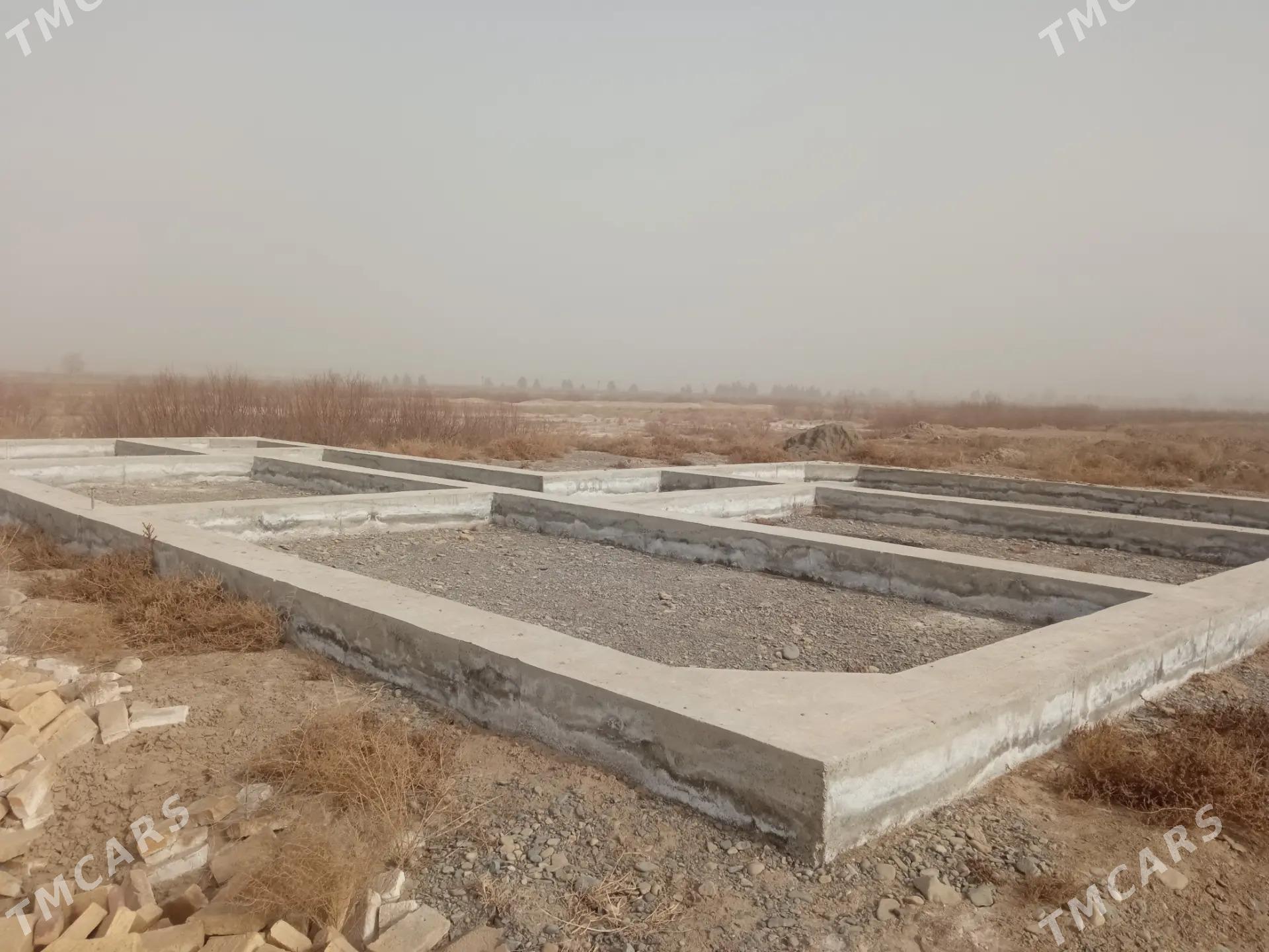 mellek - Murgap - img 1