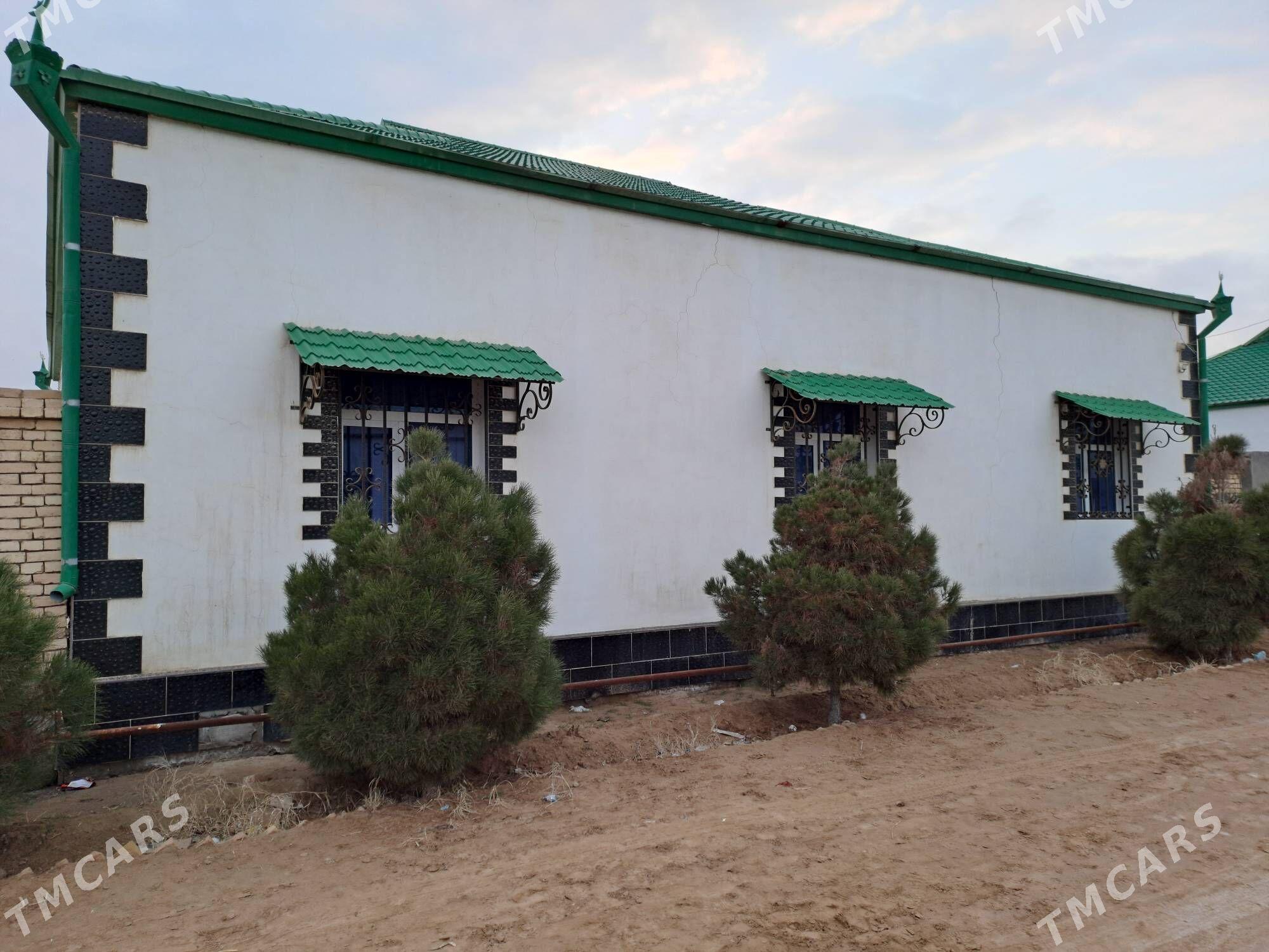 satlyk jay - Ýolöten - img 1