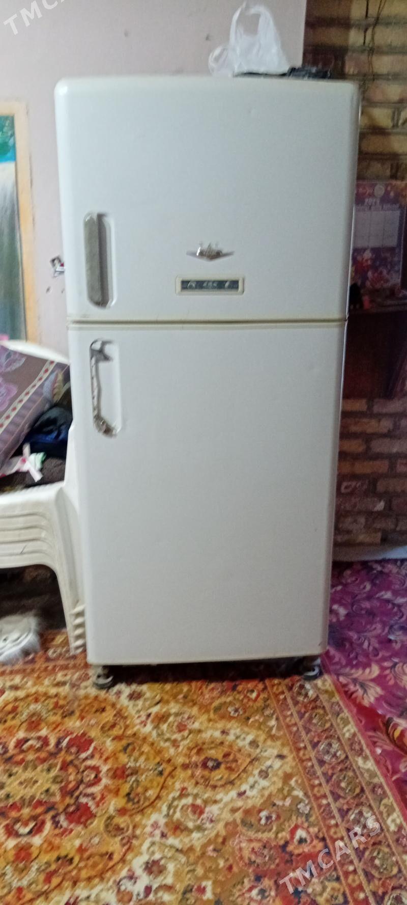 haladilnik - Mary - img 1