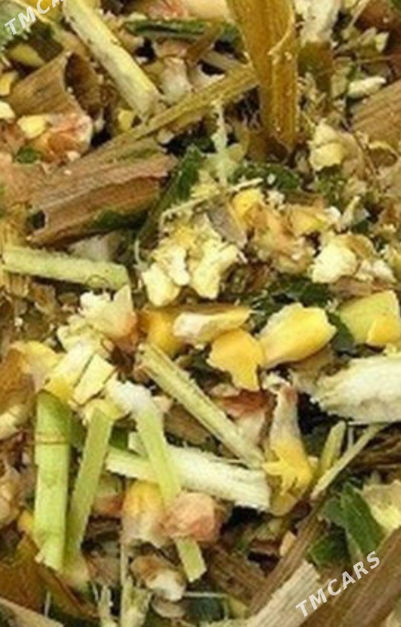 mallar ùçin - Gökdepe - img 1