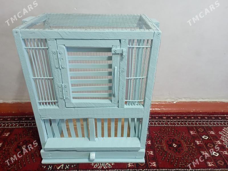 Kuş kletka  - Туркменабат - img 1