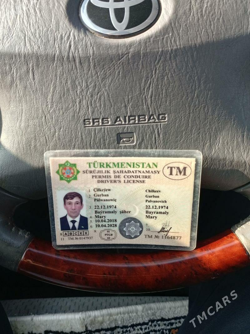 prawa - Garagum etraby - img 1