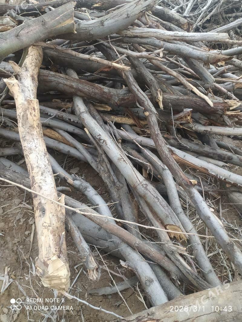 odun - Ашхабад - img 1