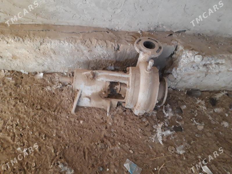 pompa - Туркменгала - img 1