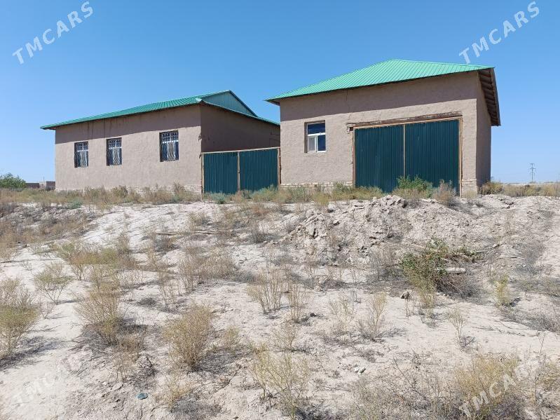 jay - Кёнеургенч - img 1