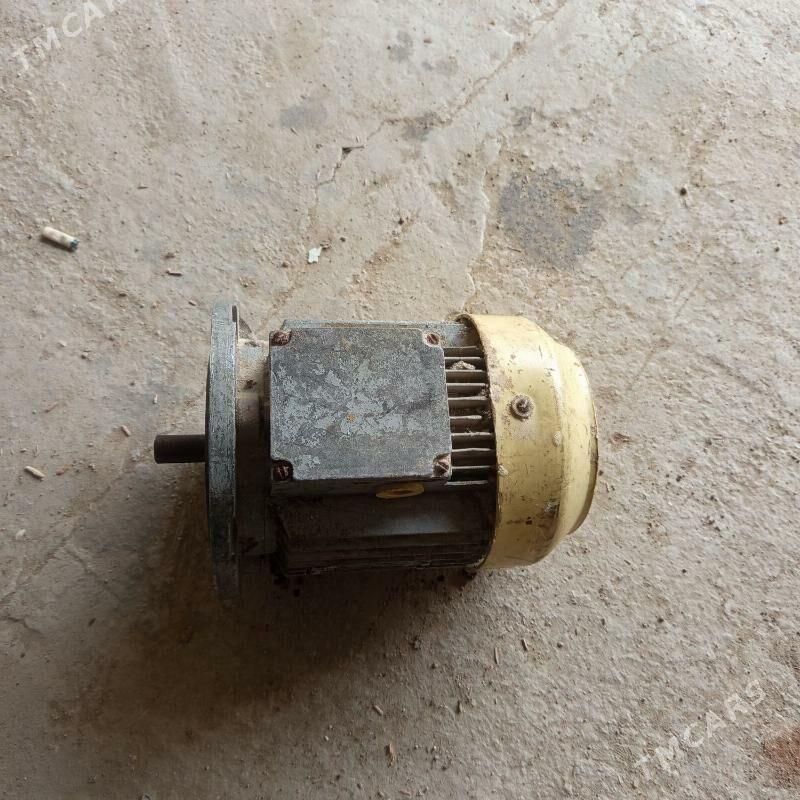 mator - Gumdag - img 1