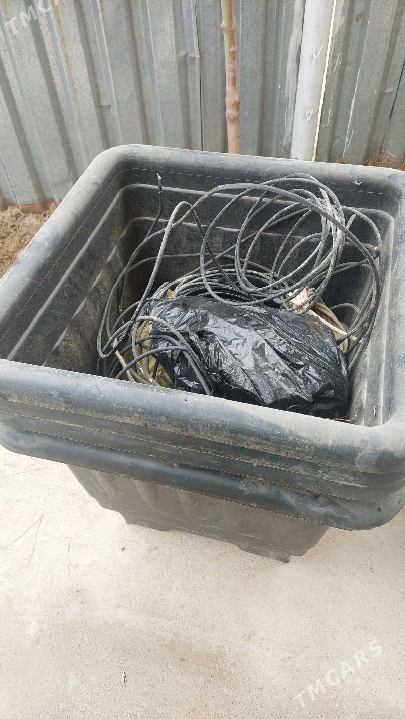 gül garşok - Änew - img 1