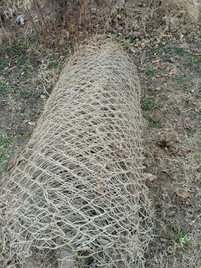 Demir setga - Garabekewül - img 1