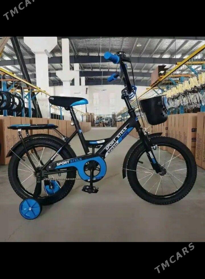 Tigir - Aşgabat - img 1