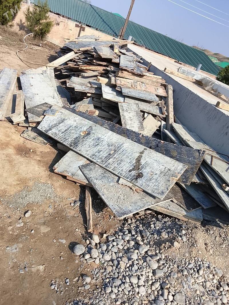 plimut - Bagyr - img 1