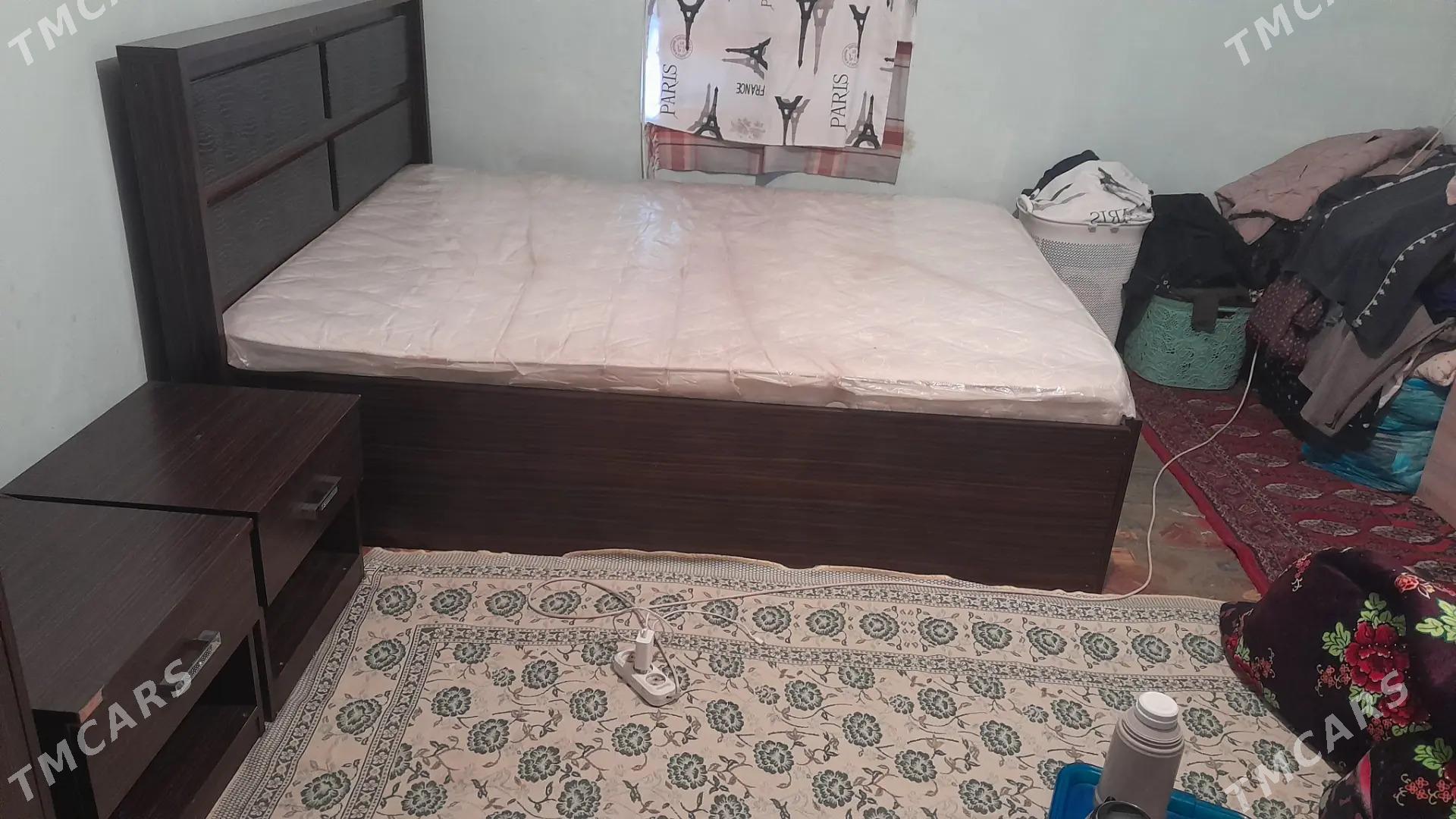 spany - Änew - img 1