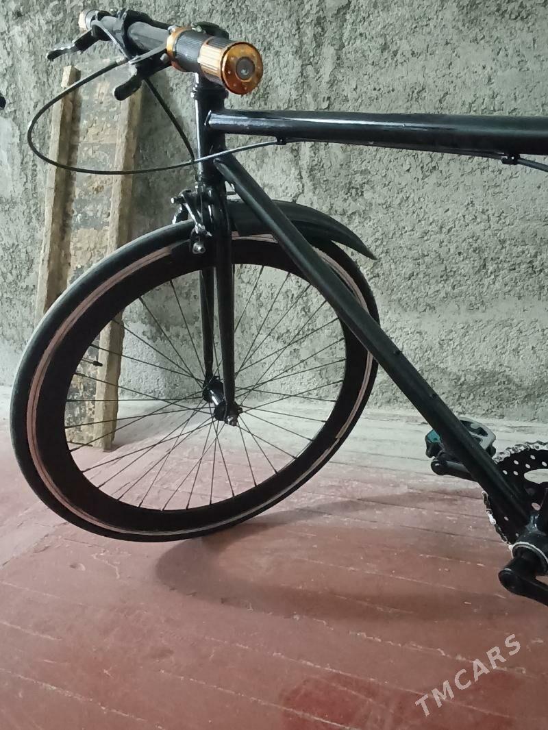 sport tigr - Гёкдепе - img 1