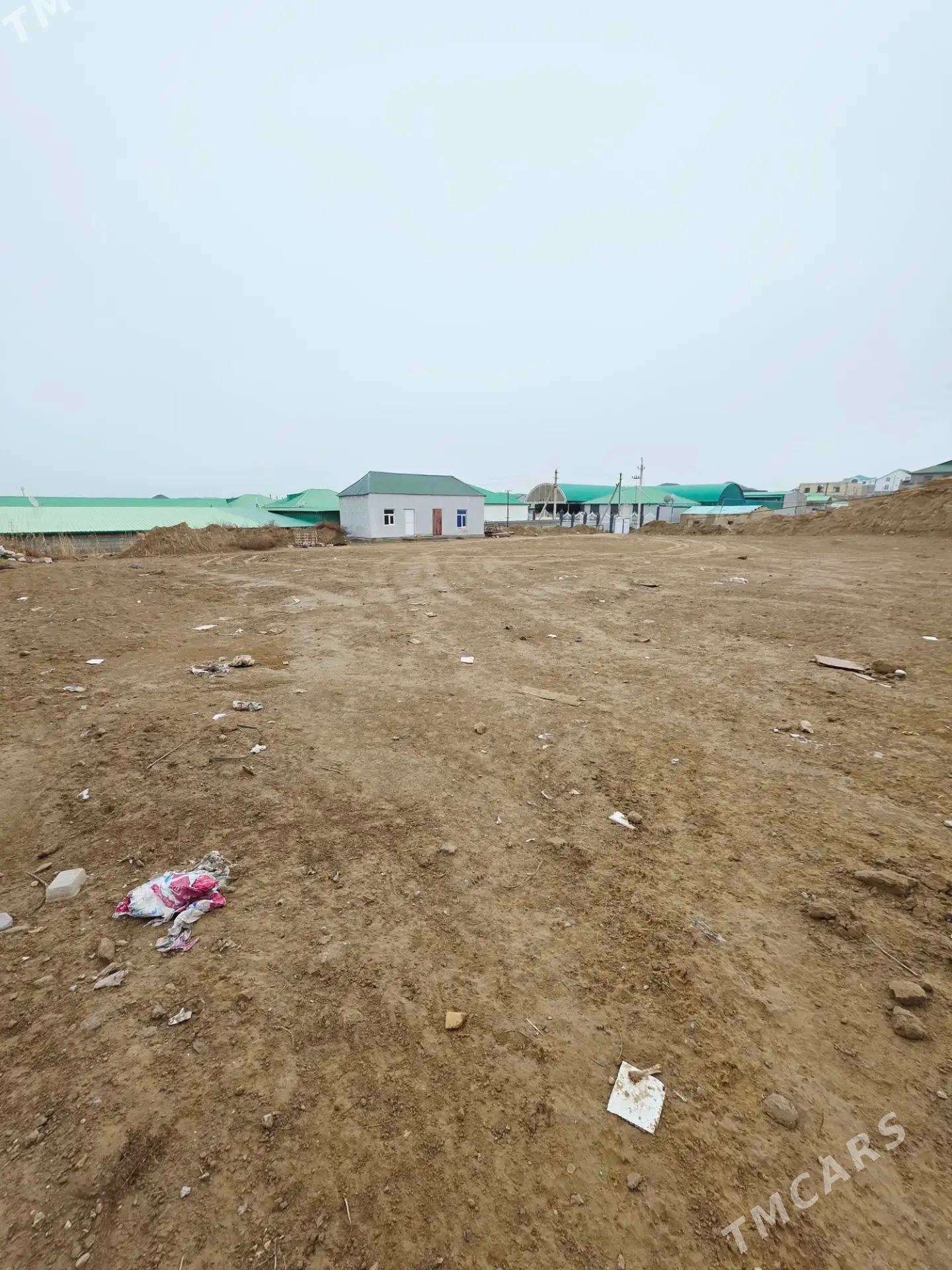 Anew Magtymguly 16sotuk yer - Änew - img 1