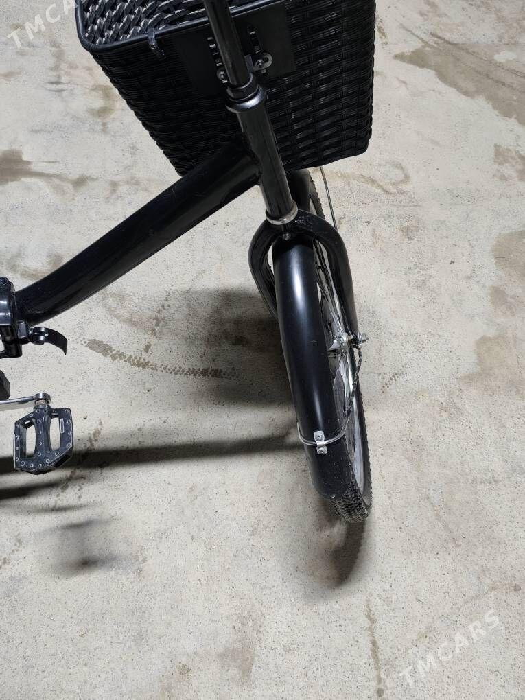 SATLYK TİGİR - Кака - img 1