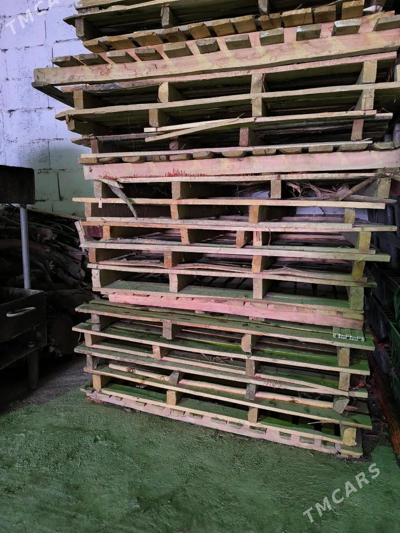 PADDON ПАДДОН - Aşgabat - img 1