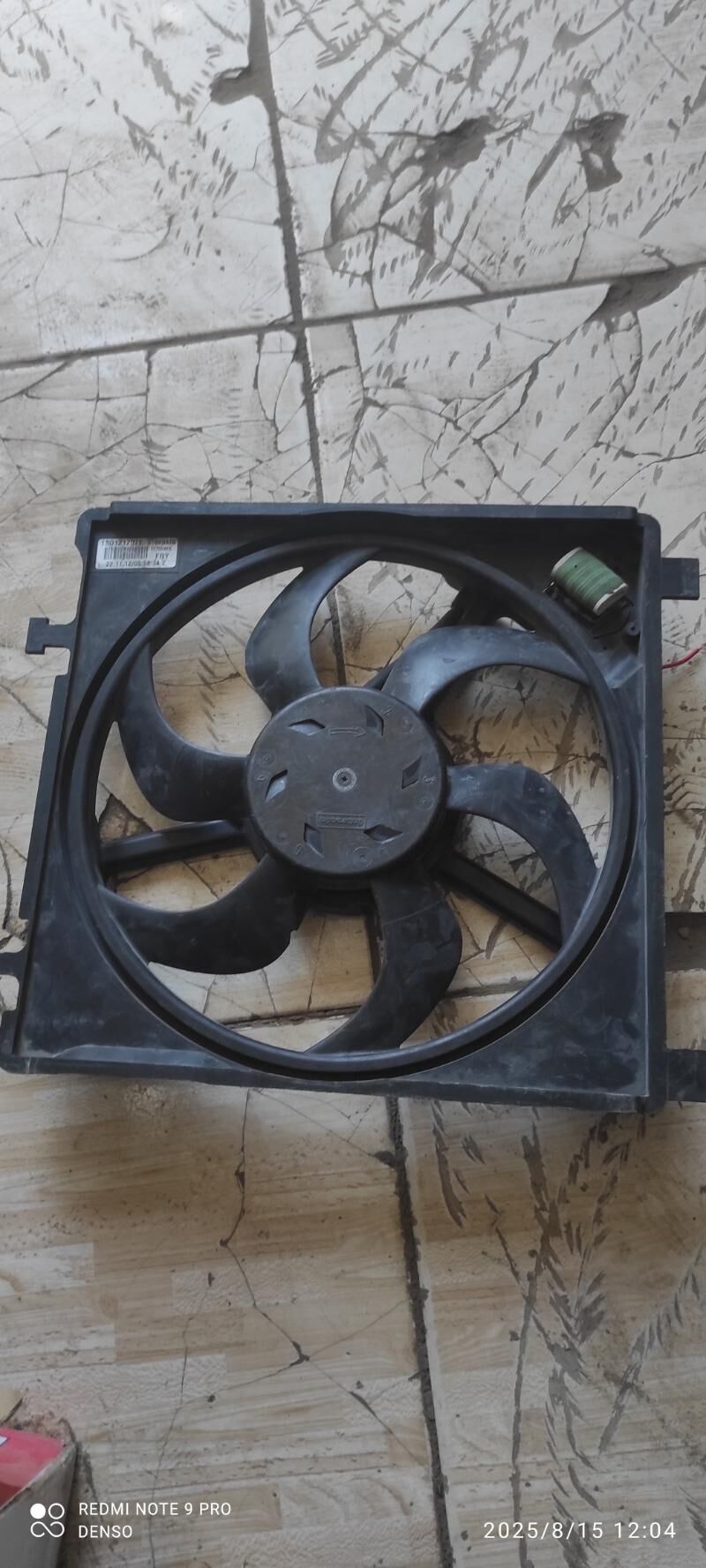 lopus 220 TMT - Mary - img 1