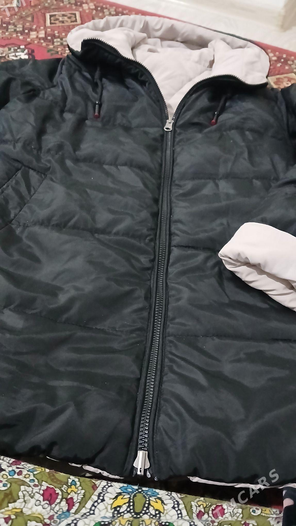 kurtga - Daşoguz - img 1