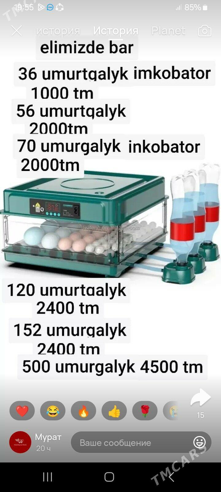 inkubator - Туркменабат - img 1