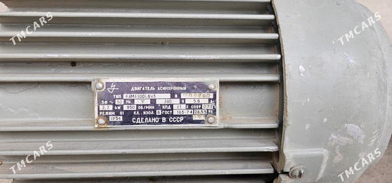 ADY GENRTYR - Чоганлы - img 1