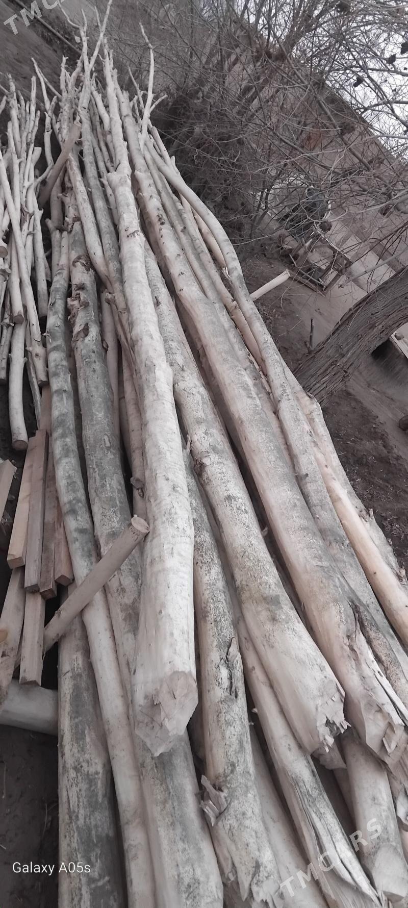 derek - Дашогуз - img 1