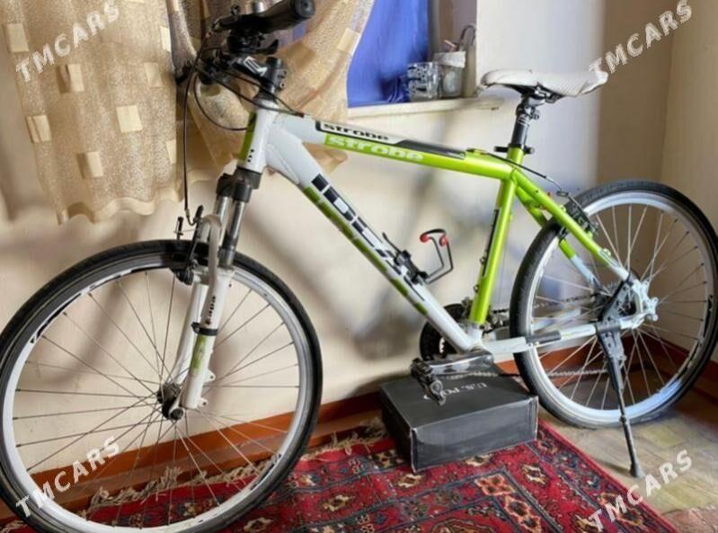 tigir - Мары - img 1