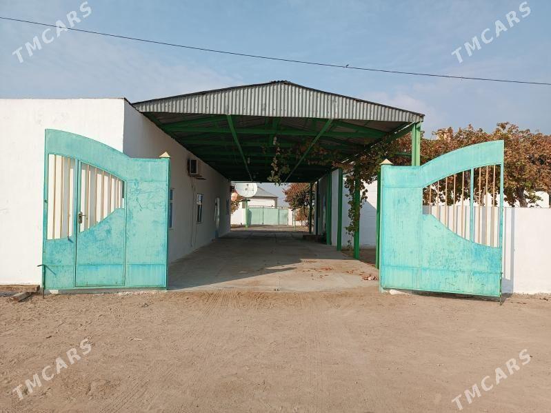 satlyk jay belekde - Türkmenbaşy - img 1