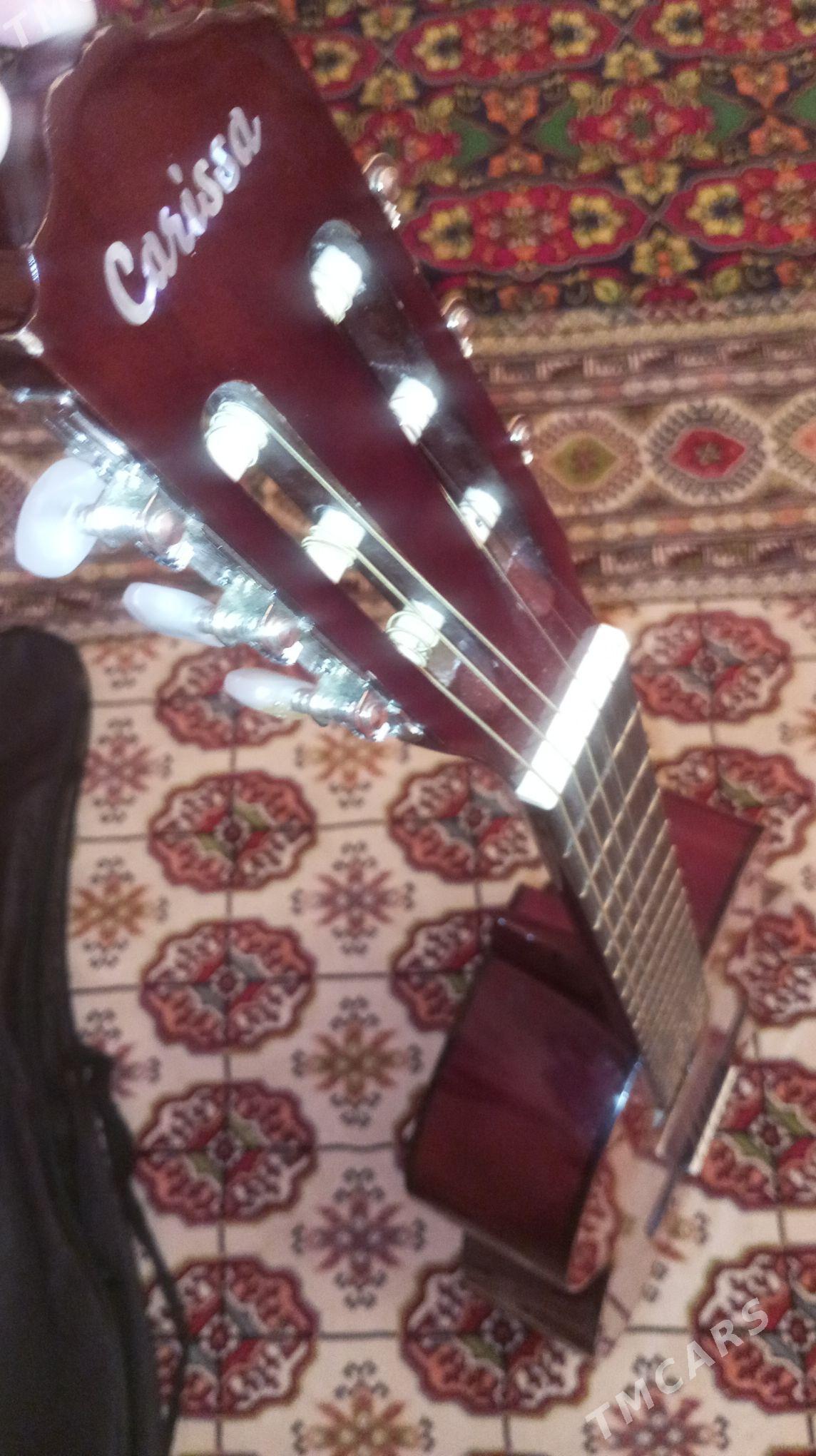 Gitara - Дашогуз - img 1