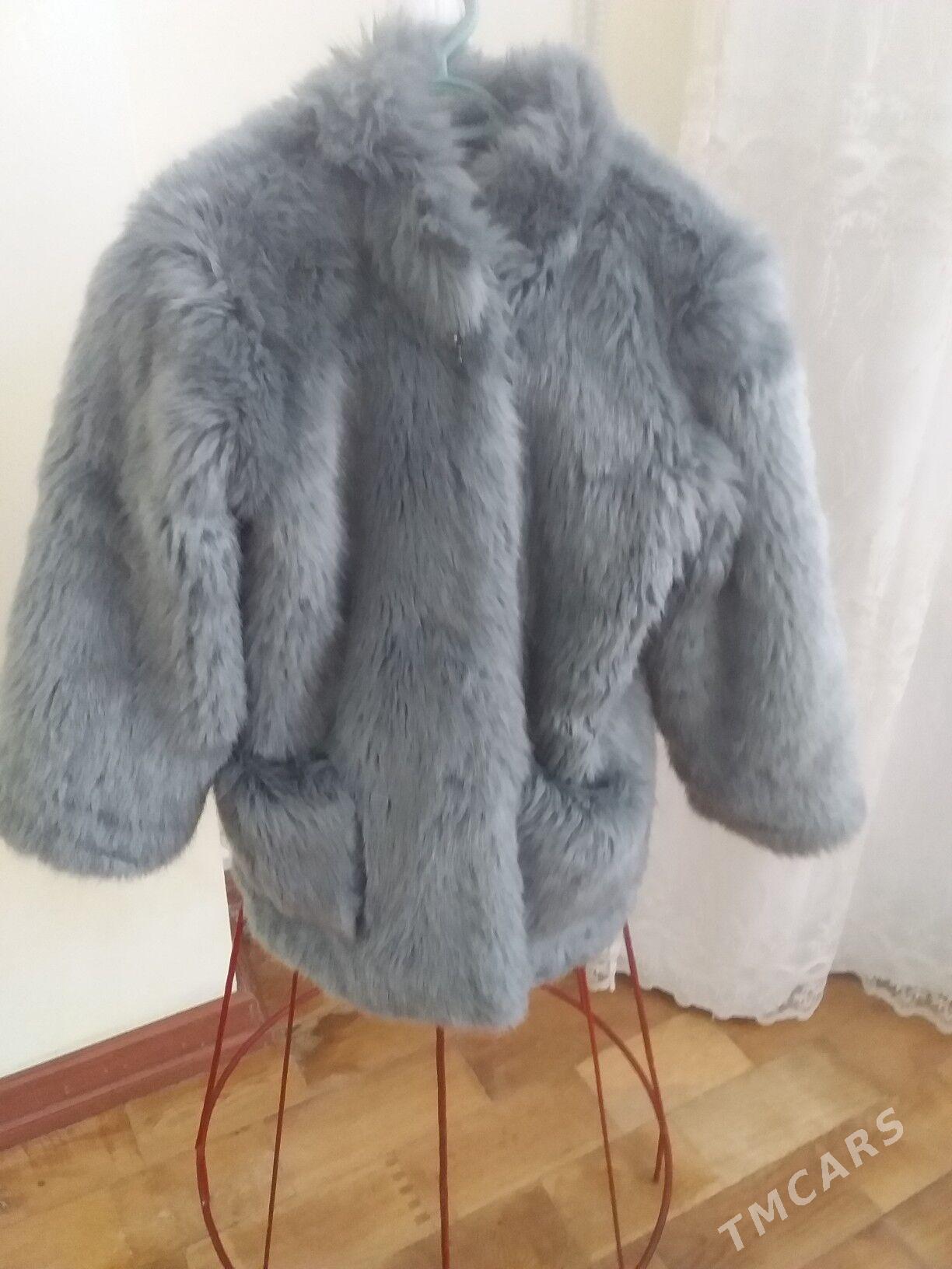 çaga şuba şampir - Балканабат - img 1