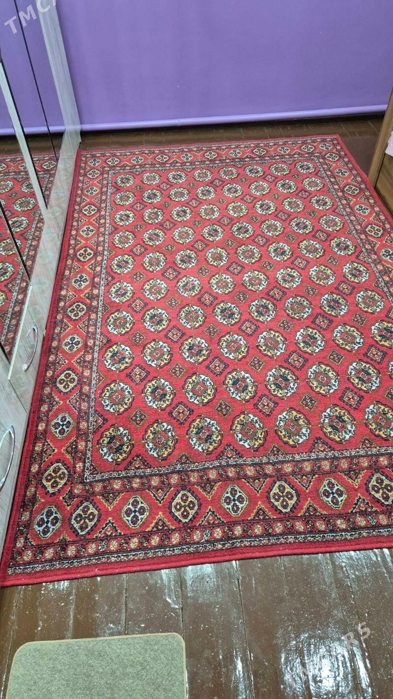 Haly - Туркменабат - img 1