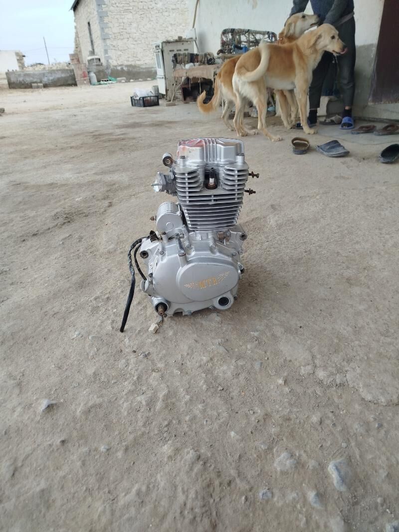 fekon mtr diwitel 2 000 TMT - Гызыларбат - img 1